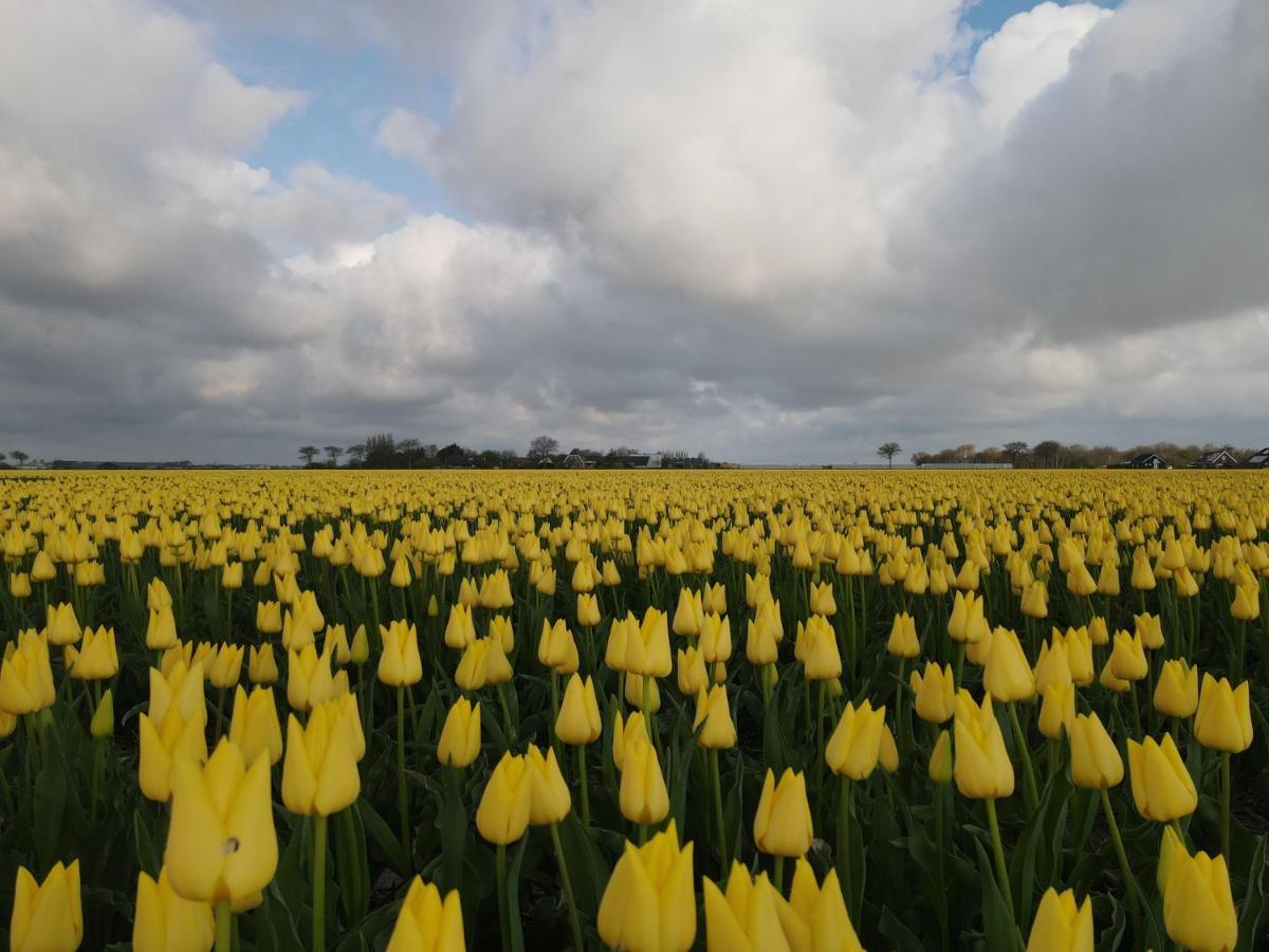 Camping De Tulpenweide Lege Kampeerplaats, Lege Plaats Op Het Gras Zonder Bed Breezand Extérieur photo