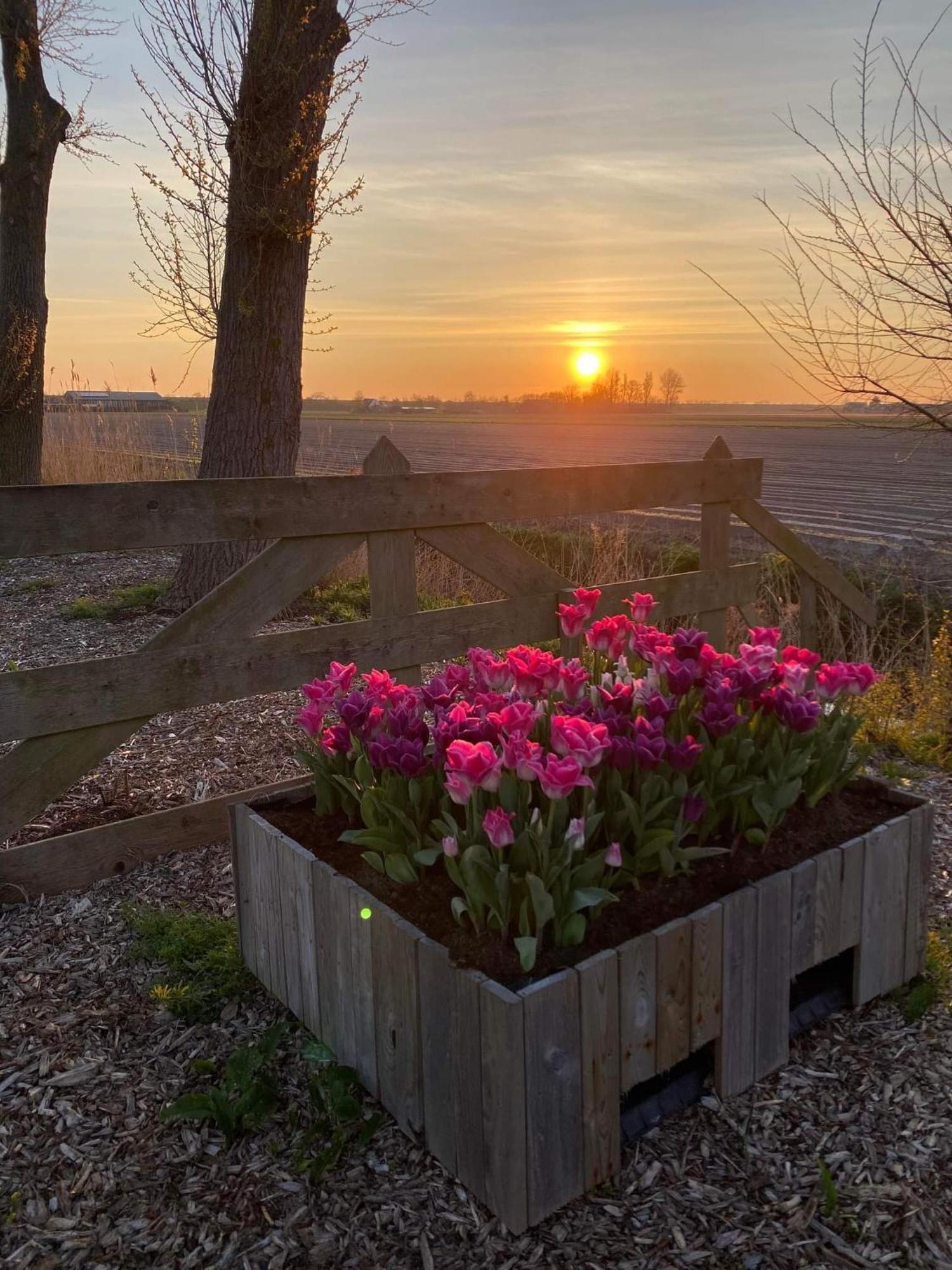 Camping De Tulpenweide Lege Kampeerplaats, Lege Plaats Op Het Gras Zonder Bed Breezand Extérieur photo