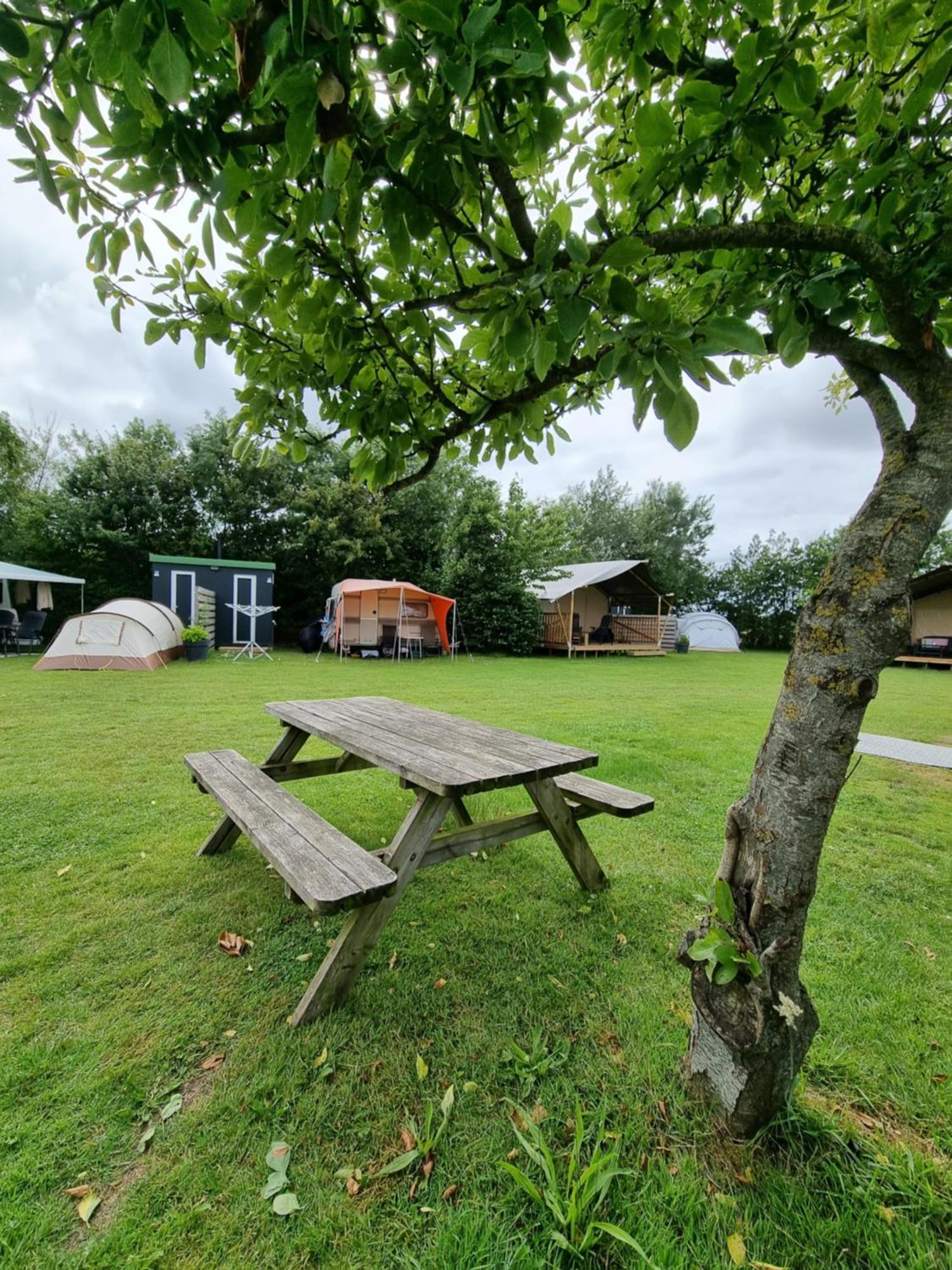 Camping De Tulpenweide Lege Kampeerplaats, Lege Plaats Op Het Gras Zonder Bed Breezand Extérieur photo