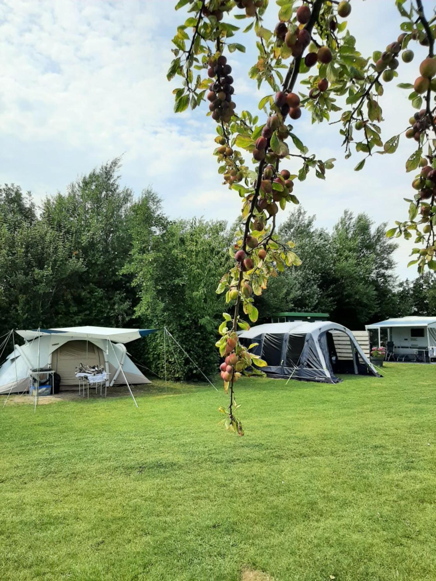 Camping De Tulpenweide Lege Kampeerplaats, Lege Plaats Op Het Gras Zonder Bed Breezand Extérieur photo