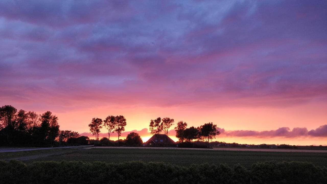 Camping De Tulpenweide Lege Kampeerplaats, Lege Plaats Op Het Gras Zonder Bed Breezand Extérieur photo